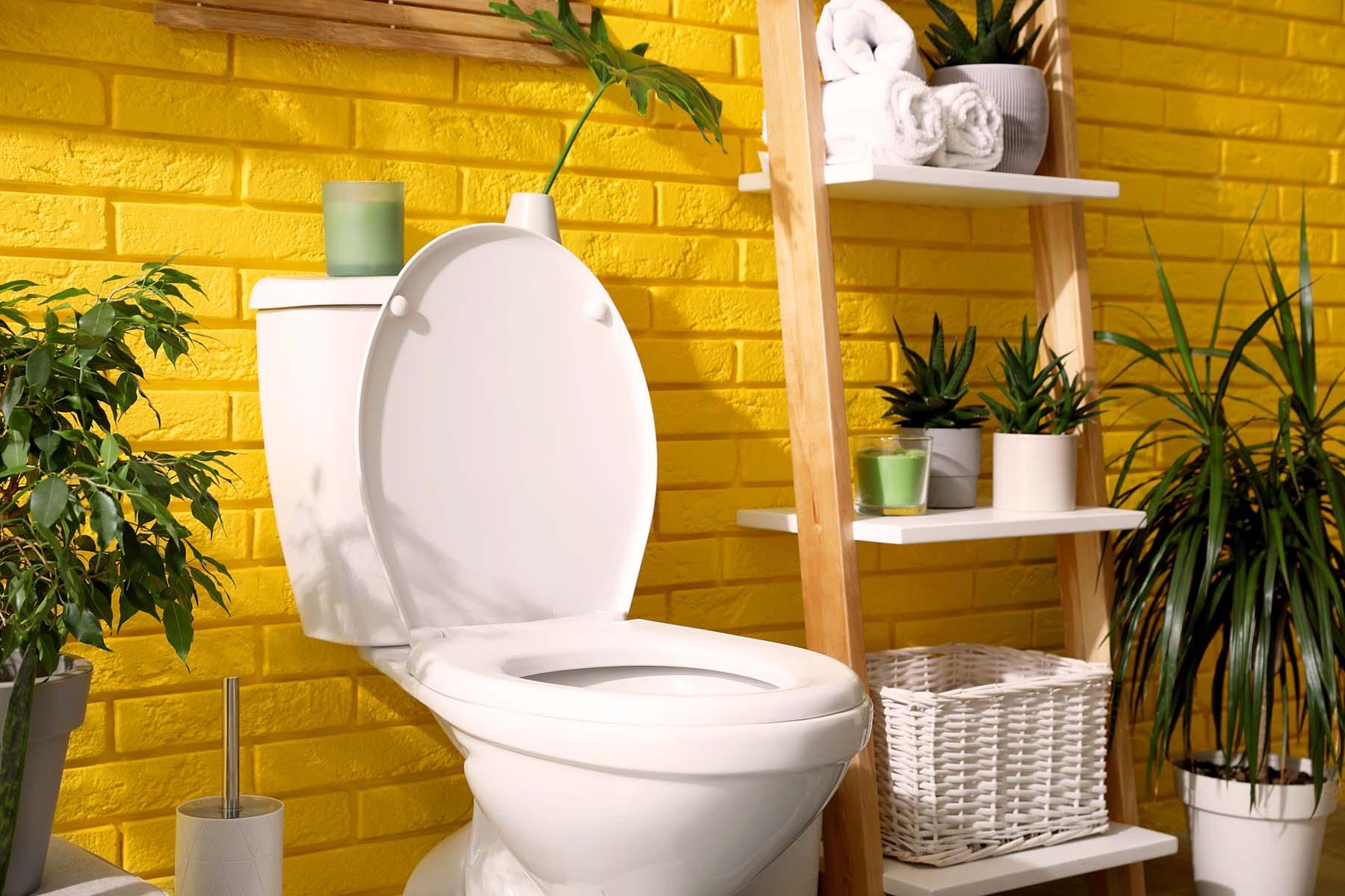 A white toilet against a bright yellow bathroom wall